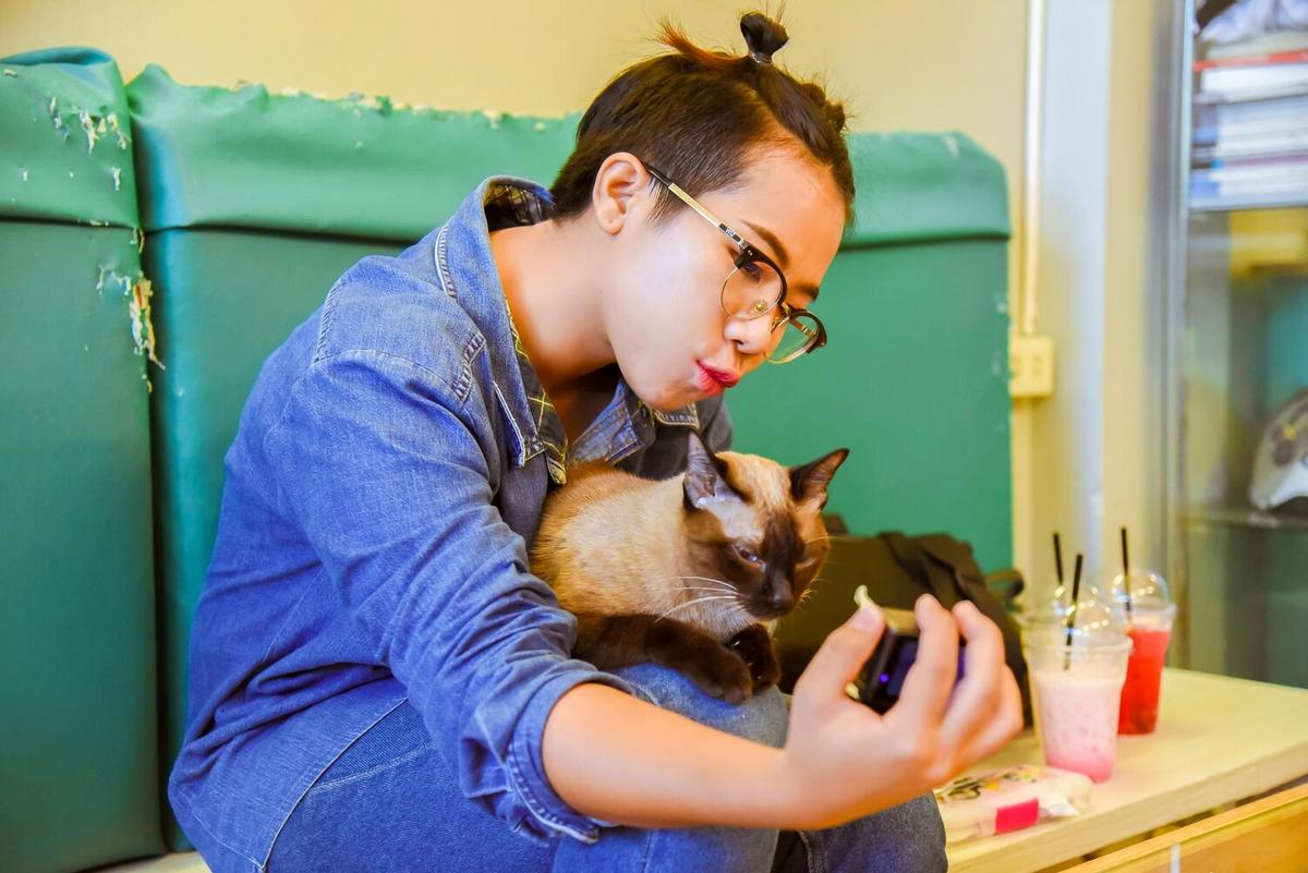 Understanding Common Pet Allergies and How to Treat Them