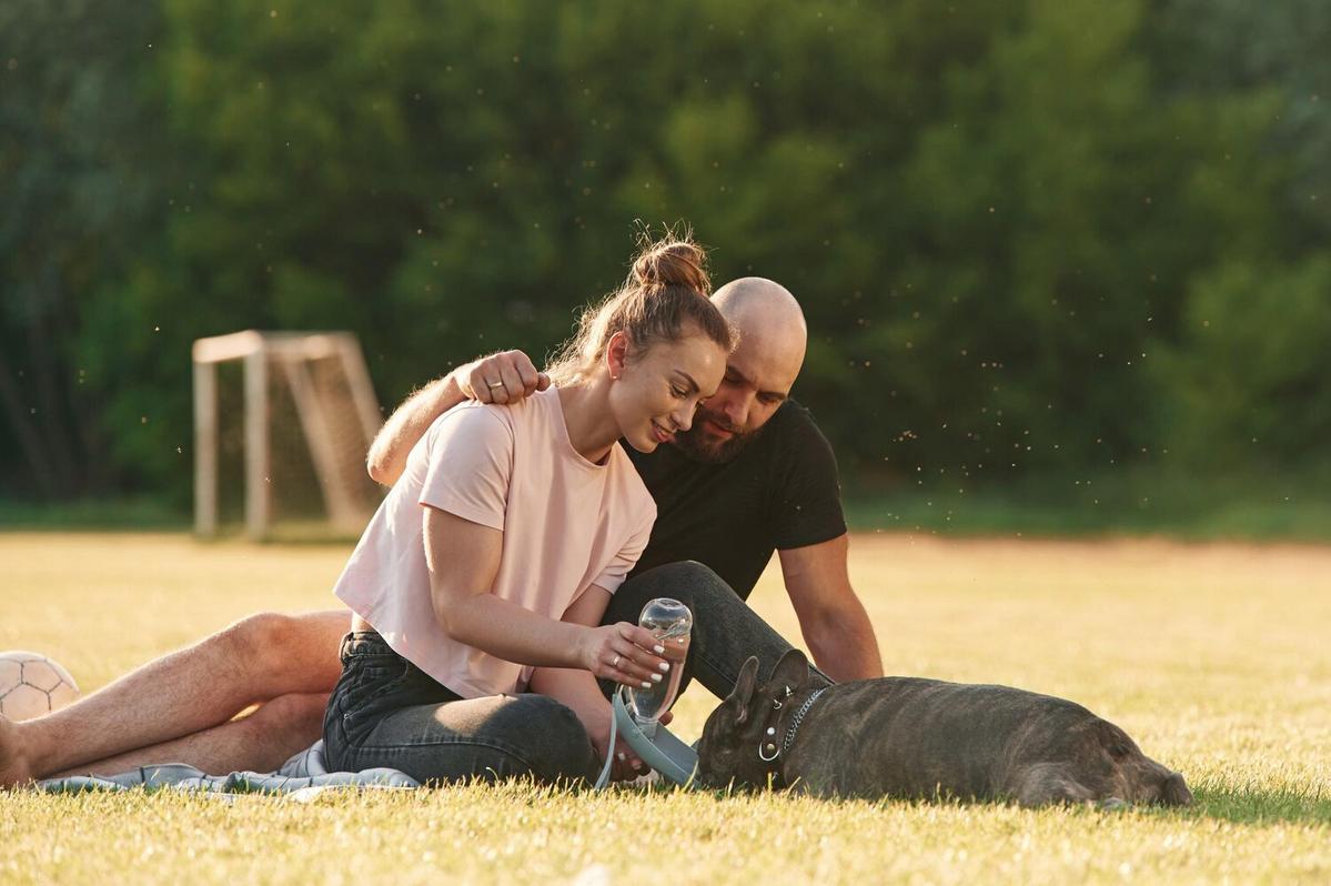 How to Train Your Dog to Be Less Aggressive