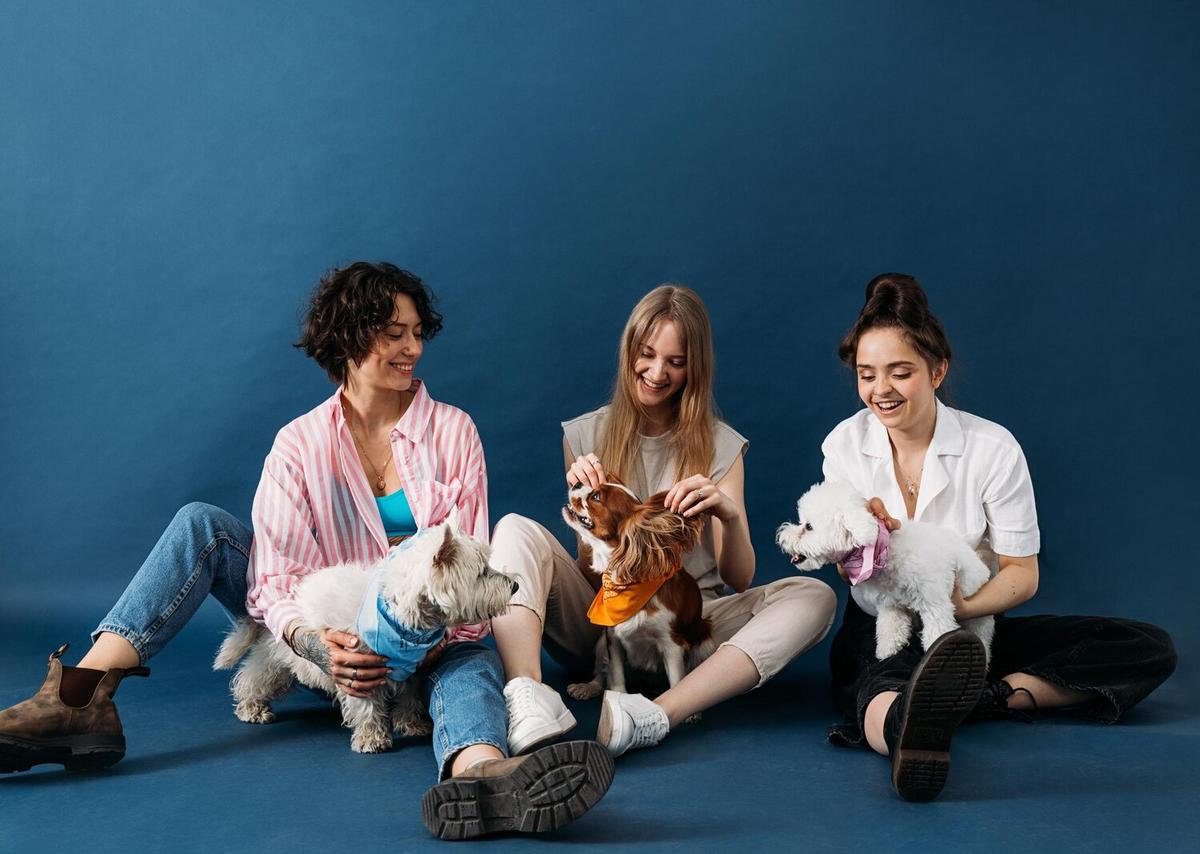How to Manage Multi-Pet Households