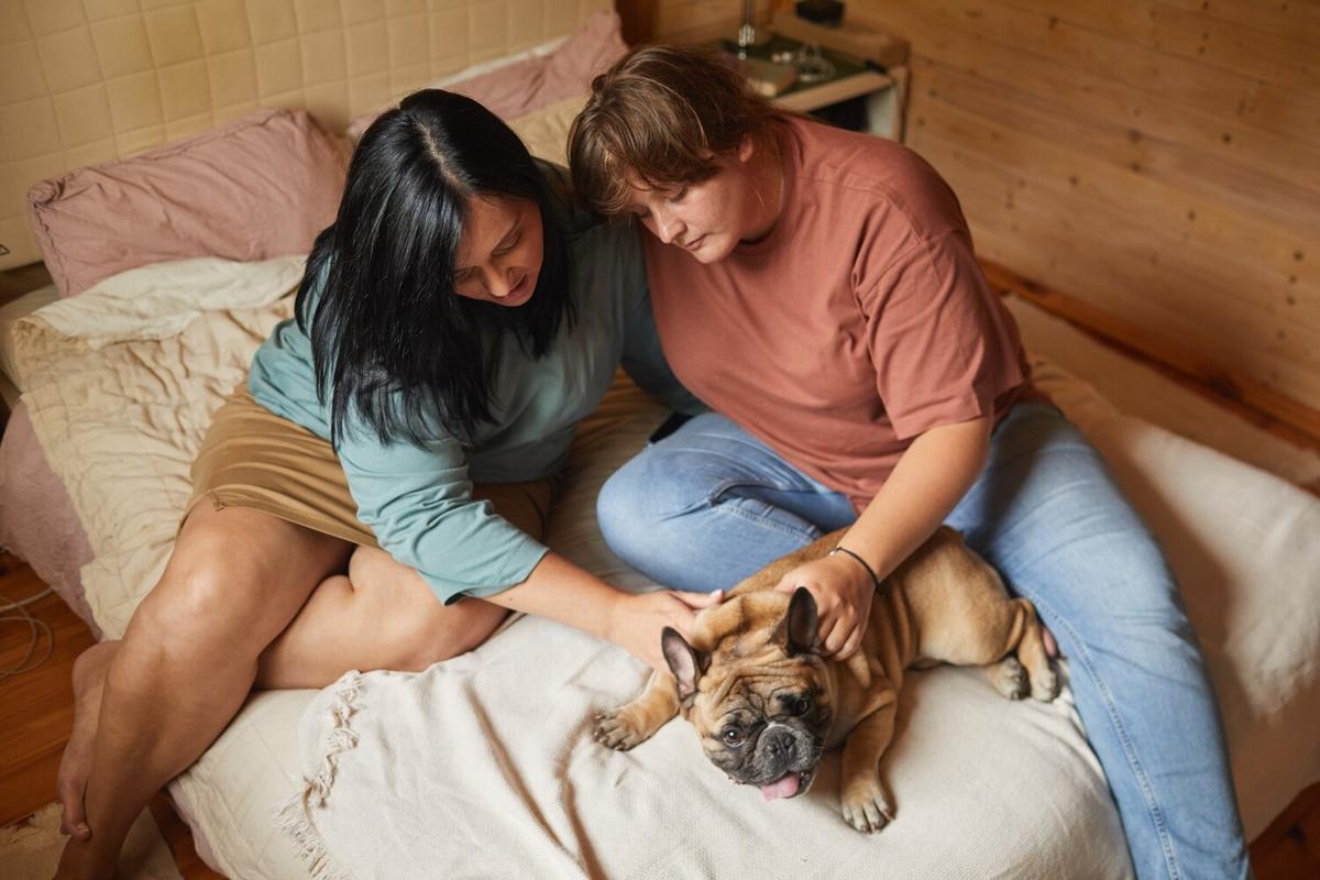 Recognizing Signs of Anxiety in Dogs