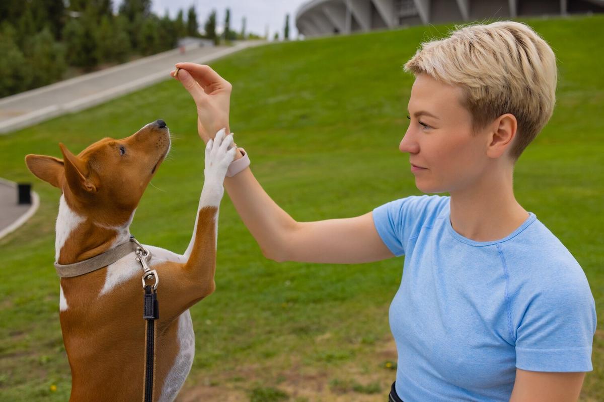 Training Techniques to Curb Unwanted Behaviors in Pets
