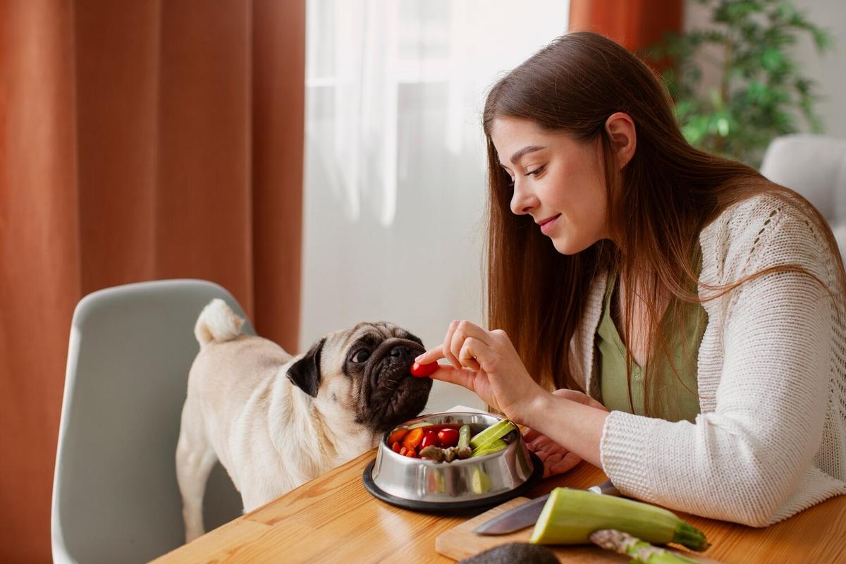 Is Grain-Free Diet the Best Choice for Your Dog?