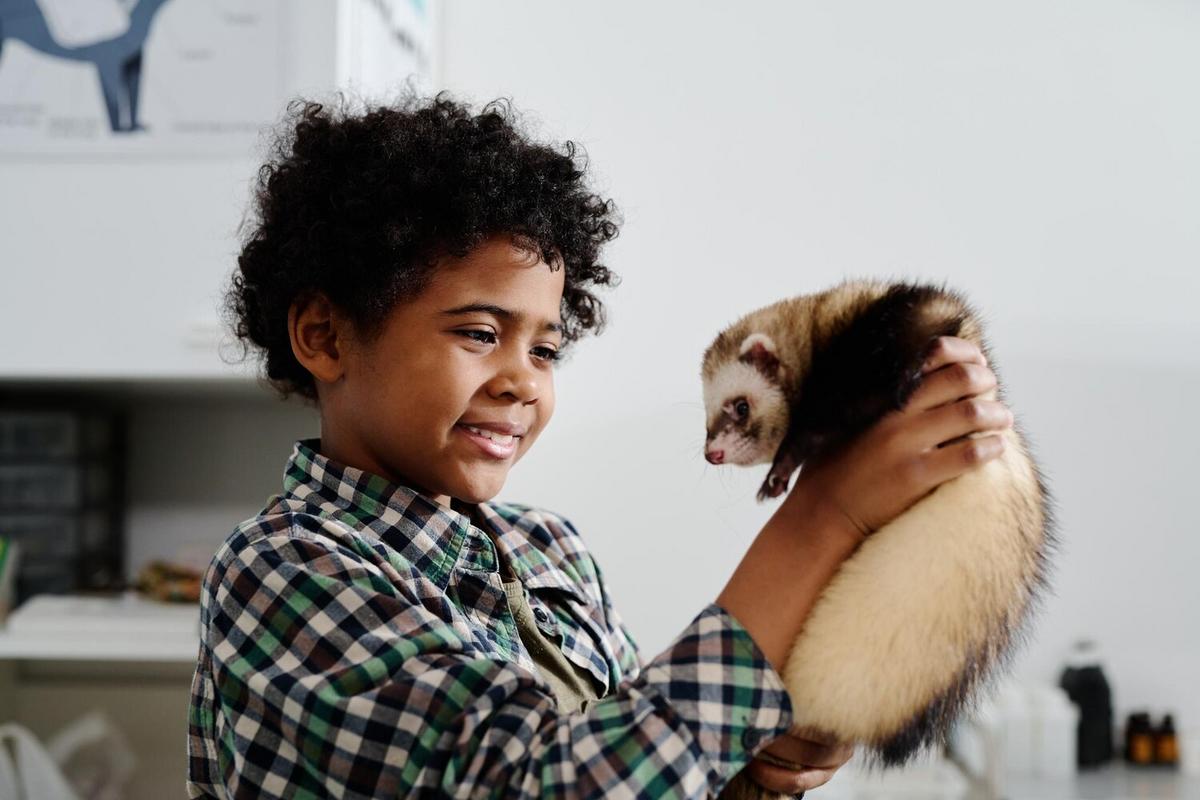 The Best Exotic Pets for First-Time Owners