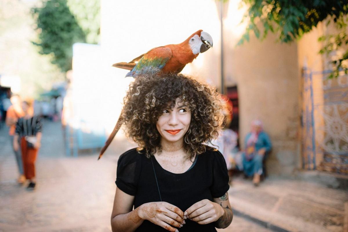 Nutritional Needs of Exotic Birds