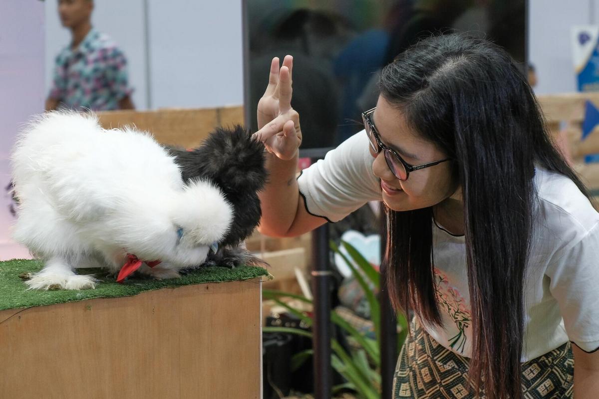 How to Choose the Right Exotic Pet for Your Lifestyle