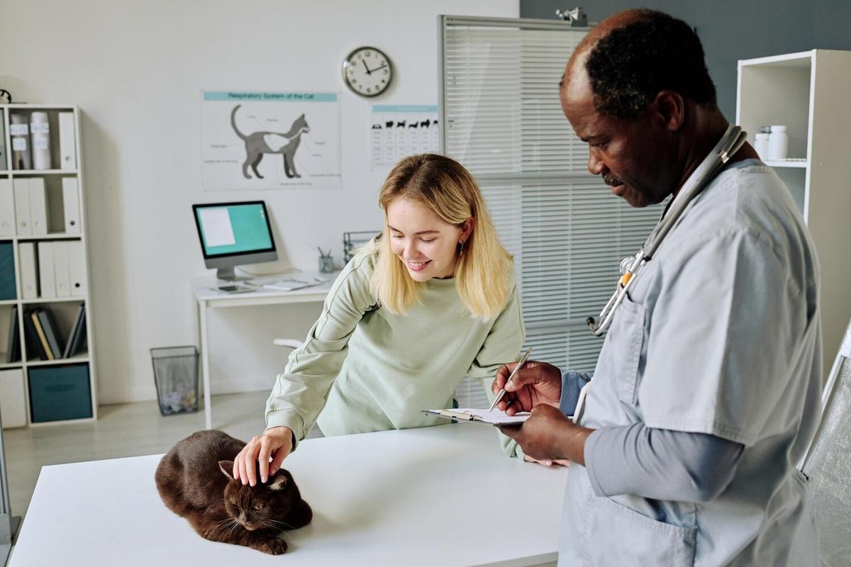 The Importance of Regular Veterinary Check-Ups