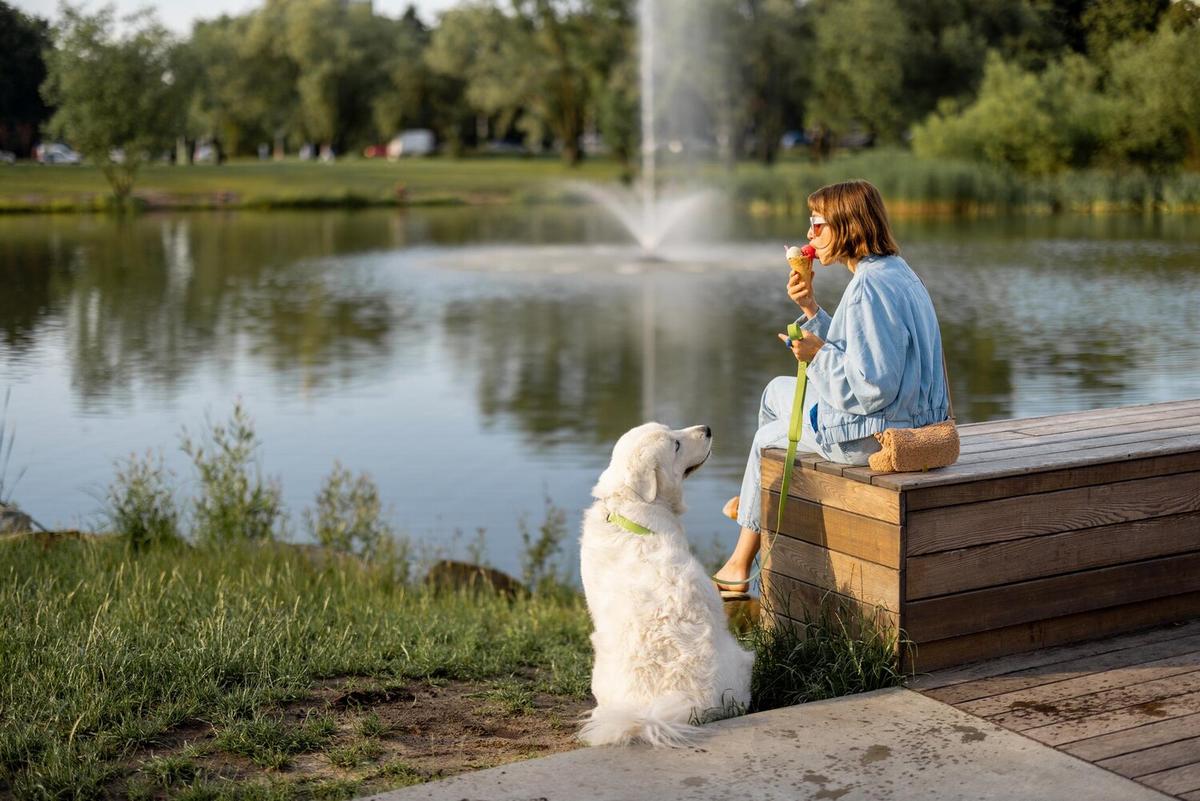 How to Keep Your Pet Hydrated During the Summer
