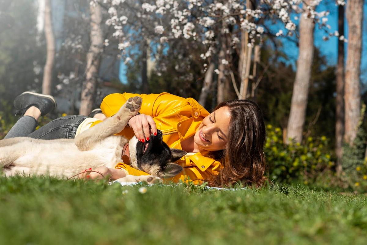 The Benefits of Probiotics for Your Pet’s Gut Health